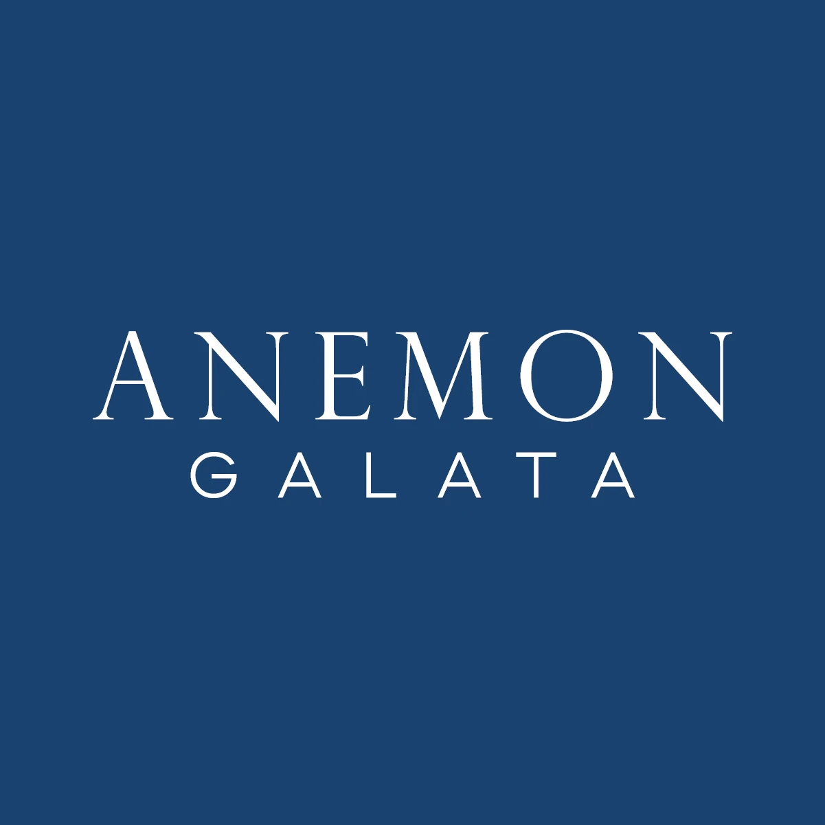 Anemon Galata