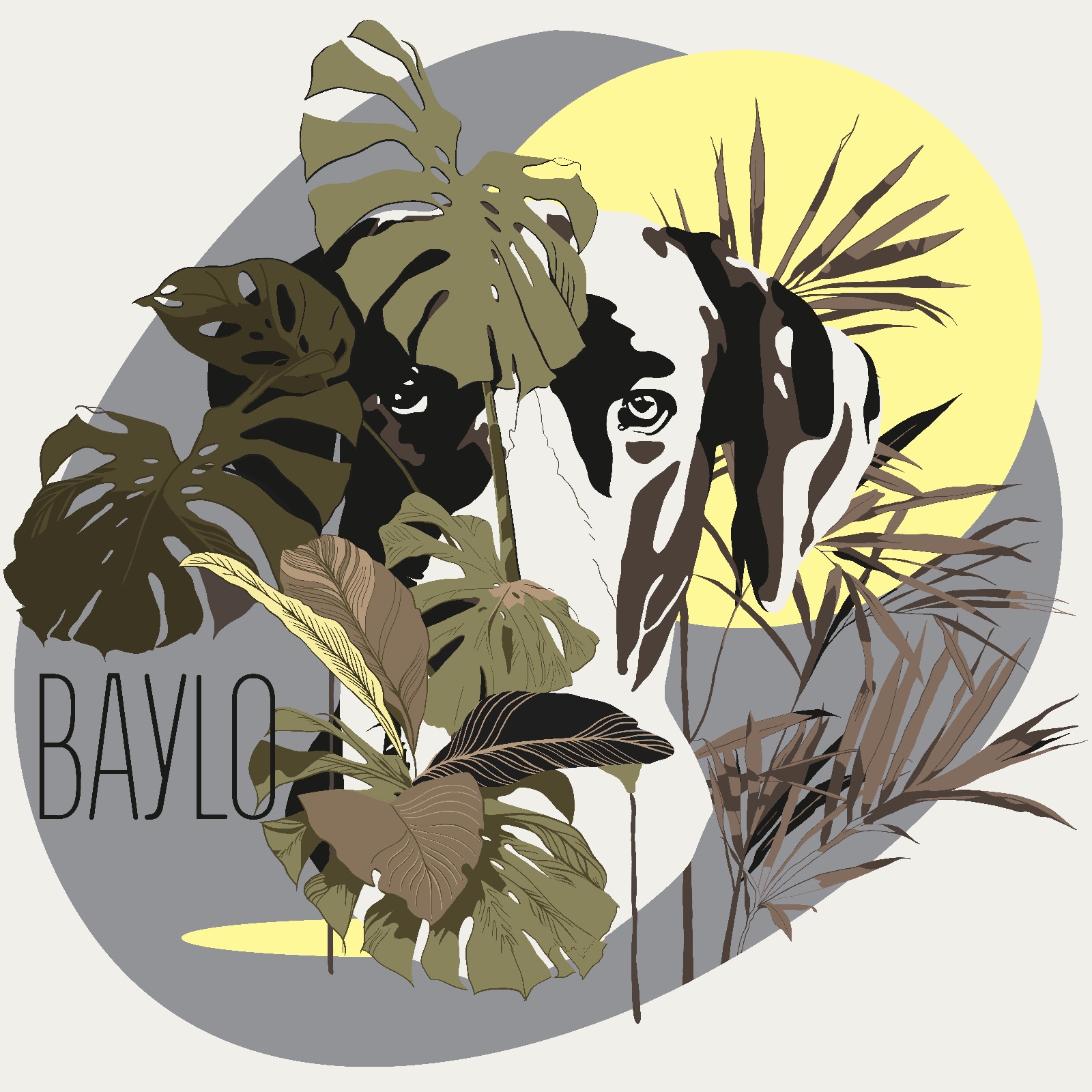 Baylo Bistro Bar