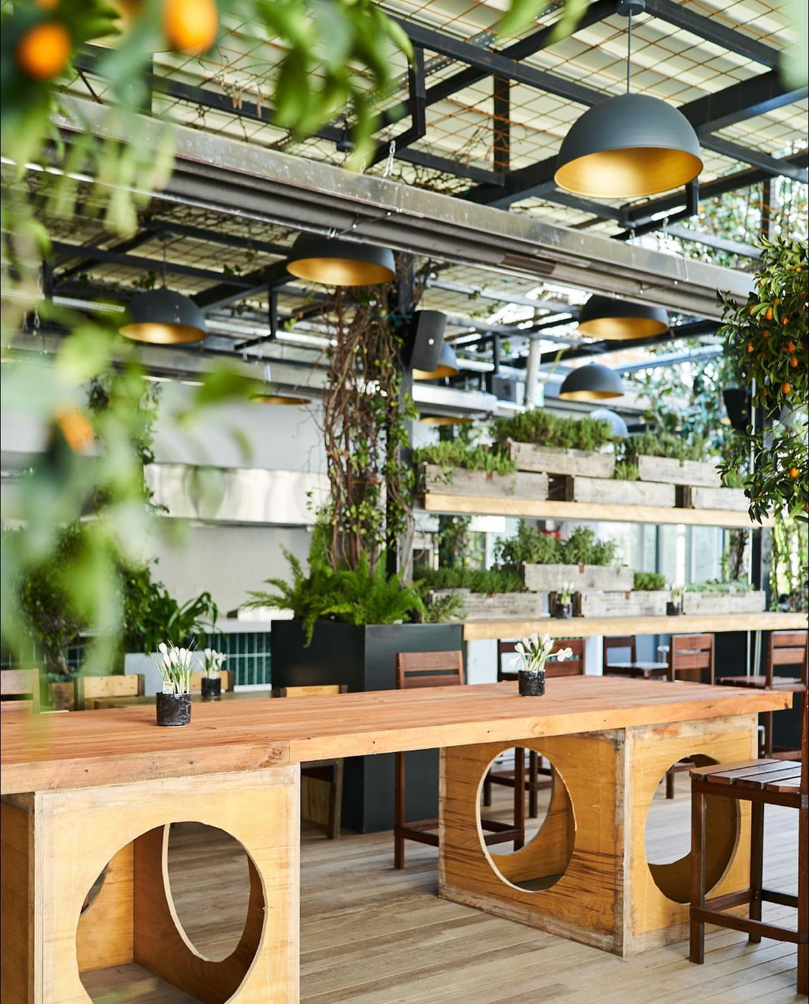 Wondercats Gıda ve Org. A.Ş.